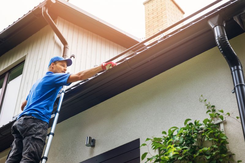 Gutter Maintenance Experts